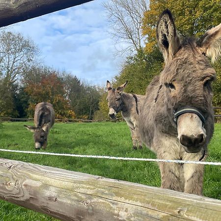 Gite " La Petite Maison" Livry  エクステリア 写真