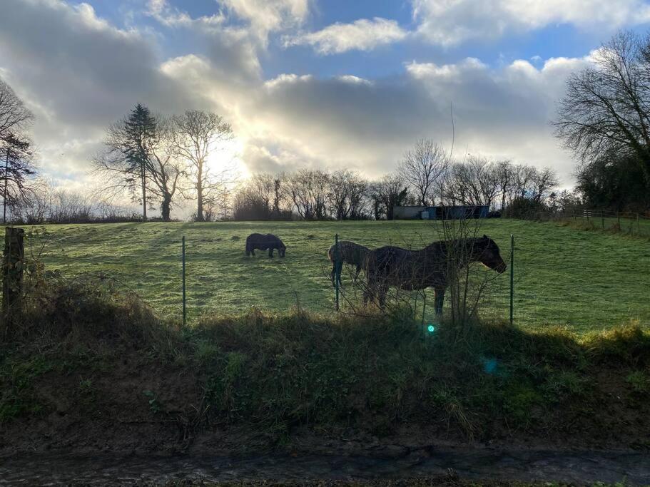 Gite " La Petite Maison" Livry  エクステリア 写真